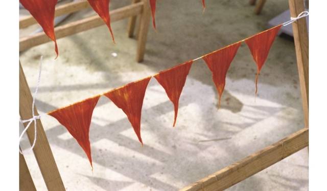 <strong>ART｜金沢21世紀美術館『島袋道浩:能登』</strong>　くちこ：地球との戦い　撮影：島袋道浩