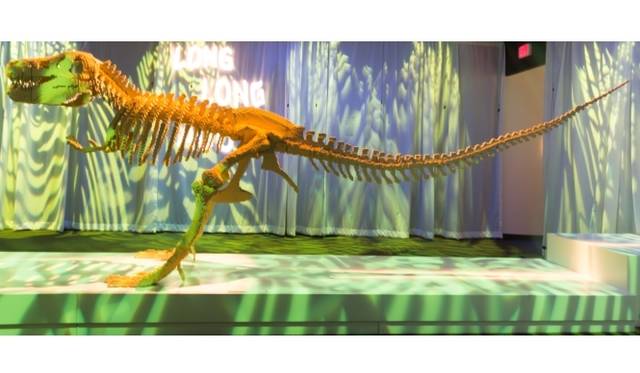 <strong>ART FILE 25｜「THE ART OF THE BRICK」</strong>　長さ約6メートルの肉食恐竜（T-REX）の骸骨