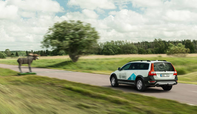 “動物検知機能付き自動ブレーキ”