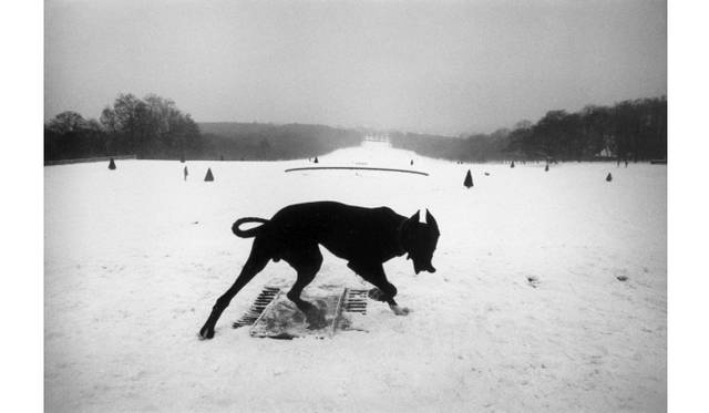 <strong>ART｜東京国立近代美術館で『ジョセフ・クーデルカ展』</strong>　ジョセフ・クーデルカ　「エグザイルズ」より　オー=ド=セーヌ、フランス（1987年）　© Josef Koudelka / Magnum Photos