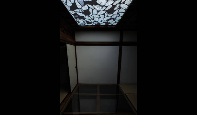 <strong>AT ART UWAJIMA 2013</strong>　愛媛県宇和島市「木屋旅館」 建築｜永山祐子建築設計、映像｜束芋