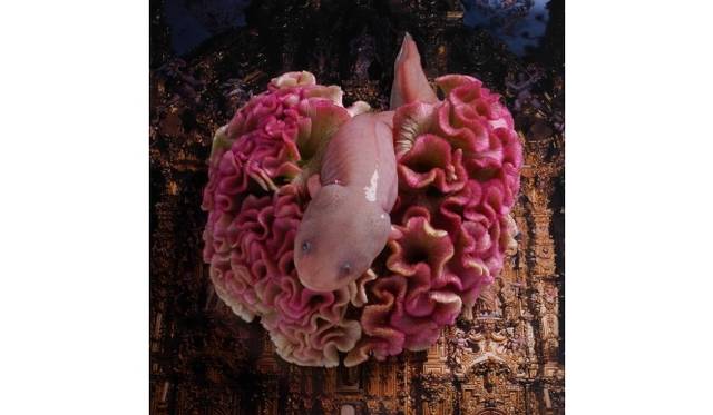 <strong>ART｜日本若手写真家9人による写真展『LUMIX MEETS／TOKYO 2020 BY JAPANESE PHOTOGRAPHERS 9』</strong>　©Yumiko Utsu