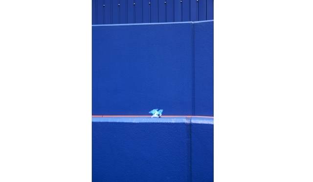 <strong>ART｜日本若手写真家9人による写真展『LUMIX MEETS／TOKYO 2020 BY JAPANESE PHOTOGRAPHERS 9』</strong>　©Go Itami