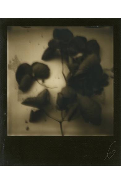 <strong>ART｜6人の写真家による大判プリントが競演する写真展『solo six』</strong><br /><br />一井 りょう<br />「248」<br /><br />『solo six』<br />会期│11月22日（金）～12月1日（日）<br />時間│12:00～21:00　※土曜、日曜は～19:00<br />会場│Yellow Cube<br />東京都渋谷区神宮前4-17-16<br />NICHII PART2　1F<br />Tel.03-5772-7775<br />出展作家│一井りょう、小野雄司、佐々木友一、鮫島亜希子、枦木功、原田宗孝<br />入場料│無料<br />http://www.yellowcube.jp