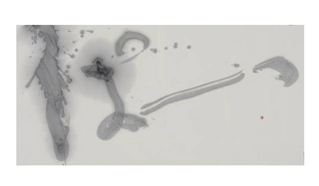 <strong>ART｜柿沼康ニ『書の道“ぱーっ”』を金沢21世紀美術館にて開催</strong> 柿沼康二《ぱーっ》(2011)35×70cm