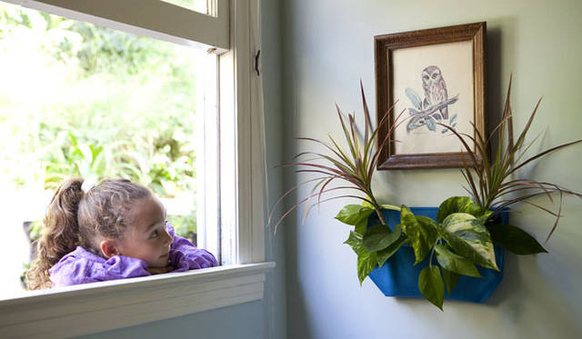 <strong>KRONGTHIP INNOVATION｜クロンティップイノベーション</strong>　フェルト生地の防水プランター「Woolly pocket（ウーリーポケット）」　