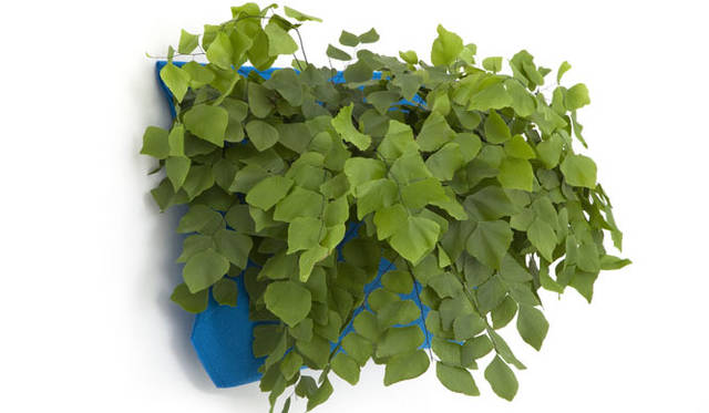 <strong>KRONGTHIP INNOVATION｜クロンティップイノベーション</strong>　フェルト生地の防水プランター「Woolly pocket（ウーリーポケット）」