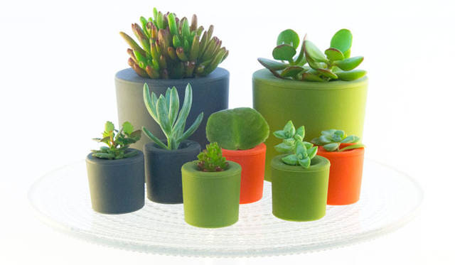 <strong>KRONGTHIP INNOVATION｜クロンティップイノベーション</strong>　ルートカップスターターキット(ビッグルートカップとオリジナルルートカップのセット)9450円