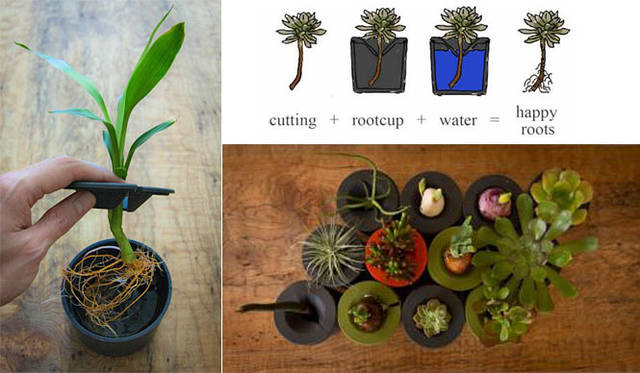 <strong>KRONGTHIP INNOVATION｜クロンティップイノベーション</strong>　「rootcup（ルートカップ）」