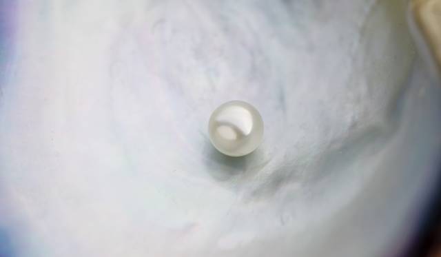 <strong>MIKIMOTO｜“真珠の学校”「真珠の不思議～科学の視点で見てみよう～」開催</strong>　