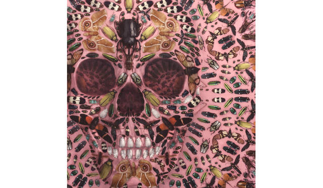 <strong>ALEXANDER McQUEEN｜アーティスト、ダミアン・ハーストとのコラボスカーフを限定発売中</strong>　Damien Hirst & Alexander McQueen Scarf Collection. Photography by Sølve Sundsbø courtesy of Alexander McQueen