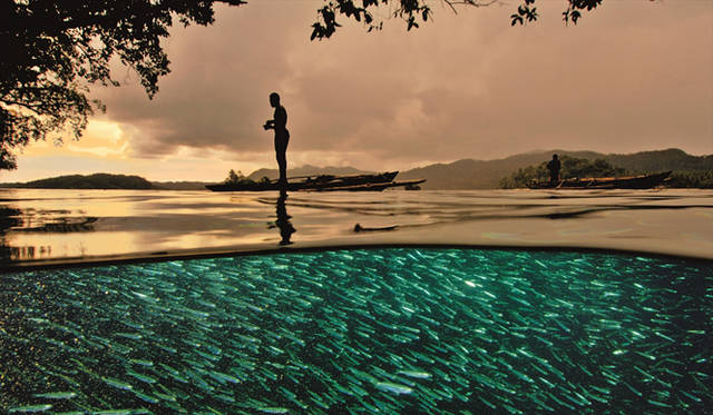 「黄金の一瞬」 Photograph by DAVID DOUBILET