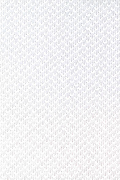 LACOSTE｜80周年記念、ピーター・サヴィルが描く80匹の