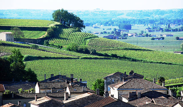 <strong>特集｜ボルドーから英国海峡へ！　探検船で“ラグジュアリーな冒険”を満喫</strong>　端正なサンテミリオンの街並みとブドウ畑。最高級の赤ワインを生み出すフランスを代表する名産地のひとつだ