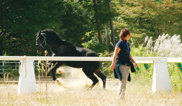© 2013記録映画『祭の馬』製作委員会
