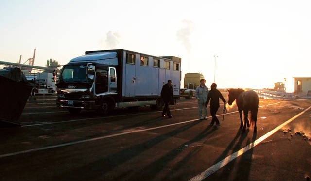 © 2013記録映画『祭の馬』製作委員会