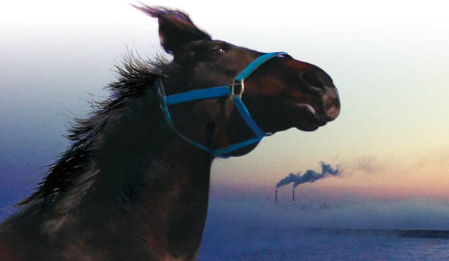 © 2013記録映画『祭の馬』製作委員会