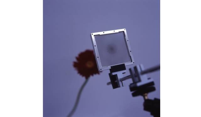 <strong>ART｜東京都写真美術館『高谷史郎 明るい部屋』展</strong>　高谷史郎 《Camera Lucida》 2004年