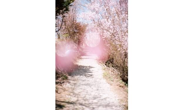 <strong>ART｜東京都写真美術館で『日本の新進作家VOL.12：路上から世界を変えていく』展</strong>　大森克己 ＜すべては初めて起こる＞ ≪福島市、福島≫ 2011 年