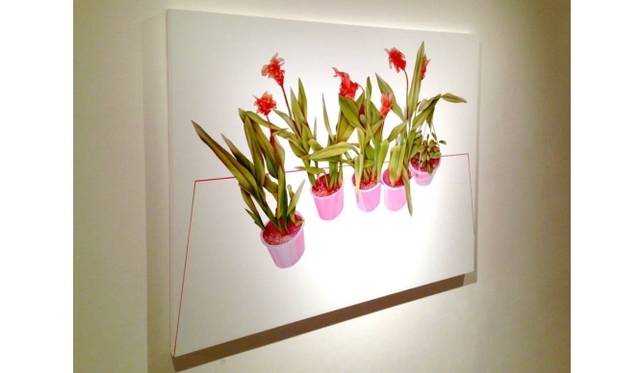 <strong>ART｜気鋭のアーティストによる新作展『大矢加奈子-庭の風景-』</strong>　“風景(植物)”/ 2013 / OIL ON PANEL / 803×1000mm