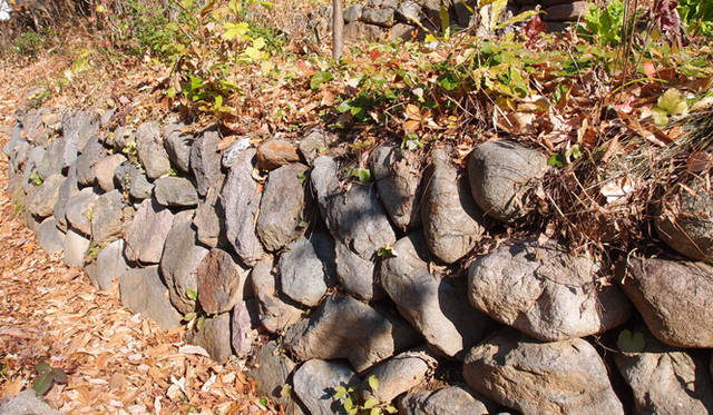 <strong>特集｜「パーマカルチャーデザイン」を暮らしのなかに</strong>　傾斜地に石を積んだ畑。相互の相性や効果を考慮し組み合わされた、野菜やハーブ、果樹などの作物が植えられている