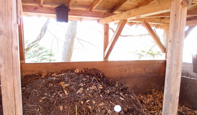 <strong>特集｜「パーマカルチャーデザイン」を暮らしのなかに</strong>　四井式堆肥場は仕切りもなく、堆肥作りのための切り返しも楽にでき多様性を生んでいる