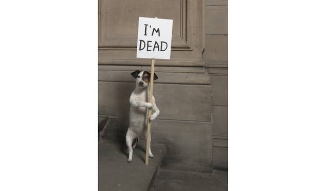 <strong>ART｜『プライベート・ユートピア ここだけの場所』展</strong>　デイヴィッド・シュリグリー《アイム・デッド》　2010年Collection Hamilton Corporate FinanceImage courtesy Kelvingrove Art Gallery and Museum © The Artist