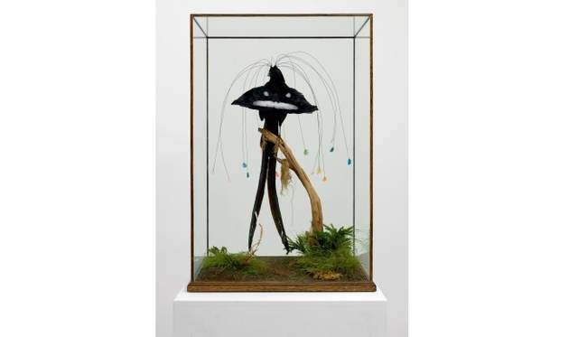 <strong>ART｜『プライベート・ユートピア ここだけの場所』展</strong>　ライアン・ガンダー《四代目エガートン男爵の16枚の羽毛がついた極楽鳥》　2010年© Ryan Gander. Courtesy the Artist