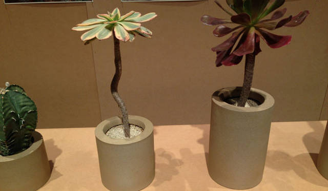 「場と間」の展示会にて、スムースな質感の陶器製プランター