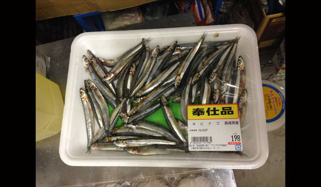 大阪のSOZ LABにて、キビナゴが大好き！