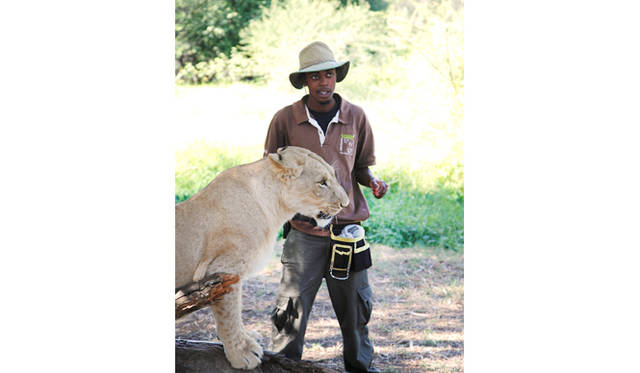 「ウォーク・ウイズ・ライオン」の出発前には、飼育員から散歩中の注意事項が伝えられる