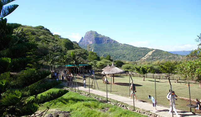 ここではライオン以外にもさまざま動物が生活している