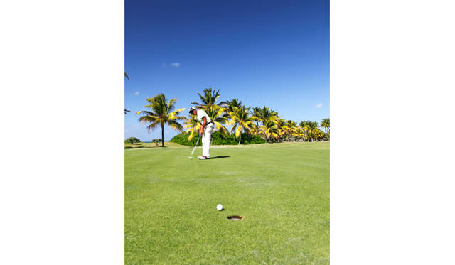 コースはつねに最高のコンディションを保っている