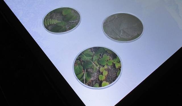 <strong>ART｜越後妻有里山現代美術館[キナーレ]で『Lights in Snowland（ライツ イン スノーランド）』</strong>　木村崇人「うちの庭」