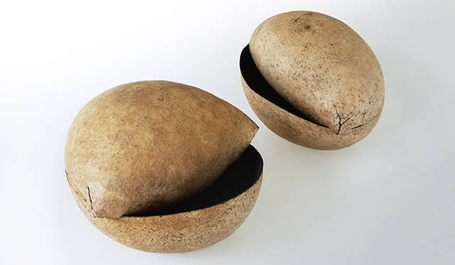 1986年岐阜県多治見市生まれ <br />2013年多治見市陶磁器意匠研究所 修了<br />2013年金沢卯辰山工芸工房 入所（在籍中）<br />2012年ビアマグランカイ 9 入選<br />　　　伊丹国際クラフト展<br />　　　そば猪口アート展 入選<br />2013年第1回瀬戸・藤四郎トリエンナーレ 入選<br />　　　高岡クラフト コンテンポラリークラフト グランプリ