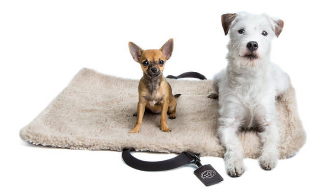 ミディアム・トラベル・ベッド 3万9900円