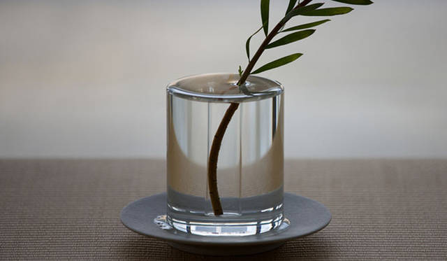 <strong>CRITIBA｜クリチーバ</strong>　SHALLOWS（a flower blooming in a puddle）