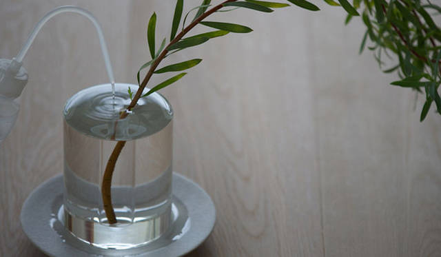 <strong>CRITIBA｜クリチーバ</strong>　SHALLOWS（a flower blooming in a puddle）