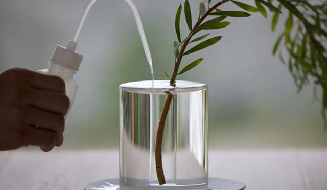 <strong>CRITIBA｜クリチーバ</strong>　SHALLOWS（a flower blooming in a puddle）