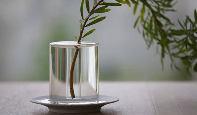 <strong>CRITIBA｜クリチーバ</strong>　SHALLOWS（a flower blooming in a puddle）