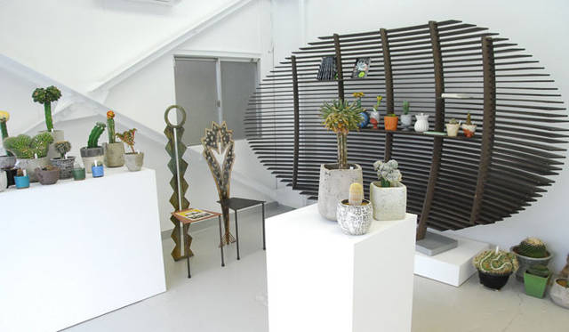 <strong>BIRDHOUSE｜バードハウス</strong>　植物イベント「Cacti in BIRDHOUSE - Qusamura no MORI -」開催