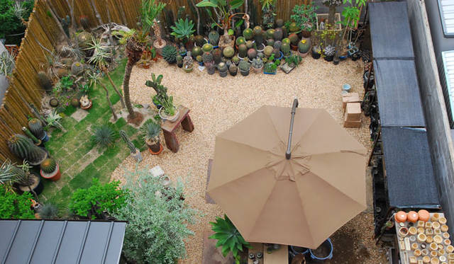 <strong>BIRDHOUSE｜バードハウス</strong>　植物イベント「Cacti in BIRDHOUSE - Qusamura no MORI -」開催