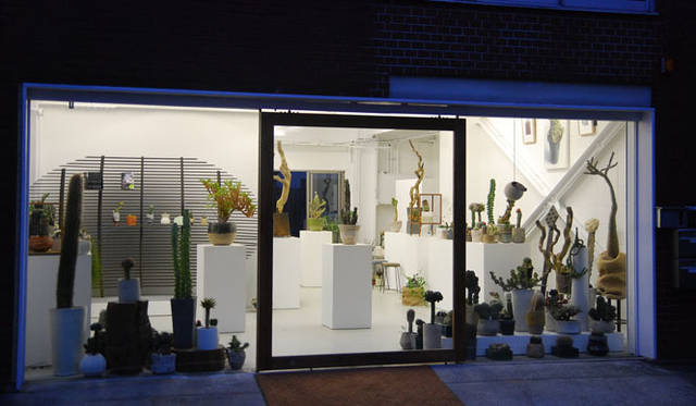 <strong>BIRDHOUSE｜バードハウス</strong>　植物イベント「Cacti in BIRDHOUSE - Qusamura no MORI -」開催