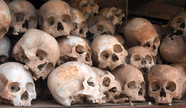 Shutterstock © Vladimir Wrangel