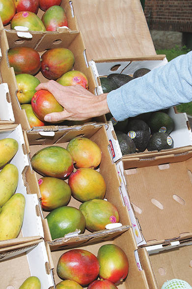 <strong>Levi’s® Made & Crafted™｜リーバイス®　メイド アンド クラフテッド™</strong>