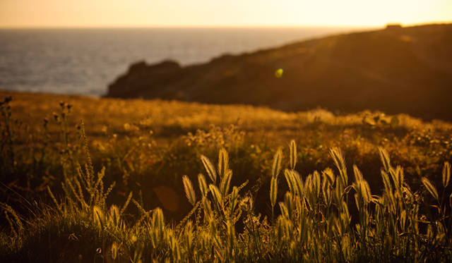 「フランスにずっと憧れを抱いていました。高校時代に興味をもって以来、いつかフランスで仕事をしたいと思っていたんです。最終的に34歳のときにフランスの労働許可が取れて、20年越しの夢がようやく現実のものになりました」