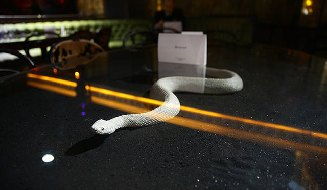 ニューヨークでおこなわれた『Spark and Light』上映イベント　©Getty Images