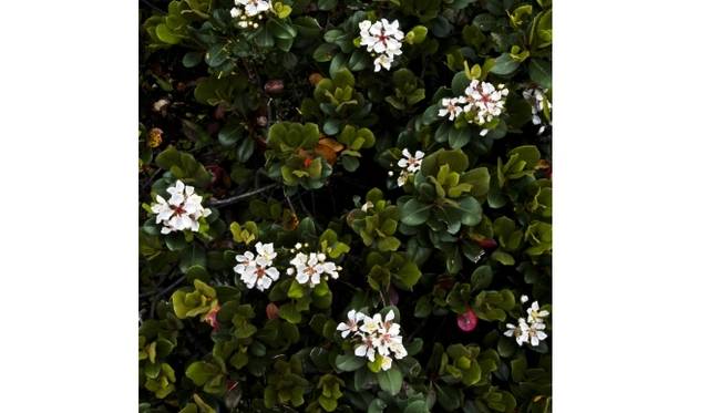 <strong>ART｜鈴木達哉写真展『Patterns in Discontinuity』</strong>　Patterns in Discontinuity　#032