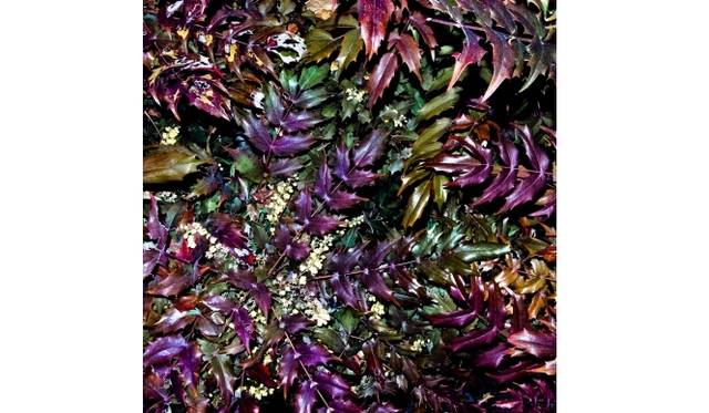 <strong>ART｜鈴木達哉写真展『Patterns in Discontinuity』</strong>　Patterns in Discontinuity  #035