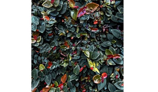 <strong>ART｜鈴木達哉写真展『Patterns in Discontinuity』</strong>　Patterns in Discontinuity　 #037